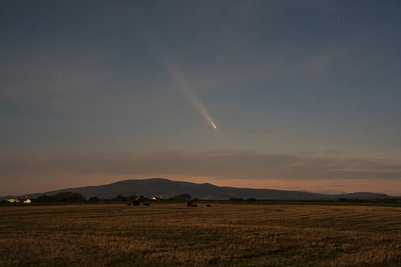 Featured image for “El Cometa A3 Atlas termina su paso cercano a la Tierra”